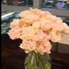 niceprettything